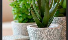 VICTOR o VICTORIA Style